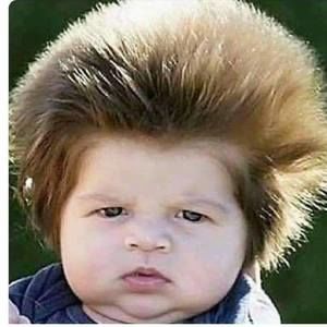 Meet your Posher, Cesar